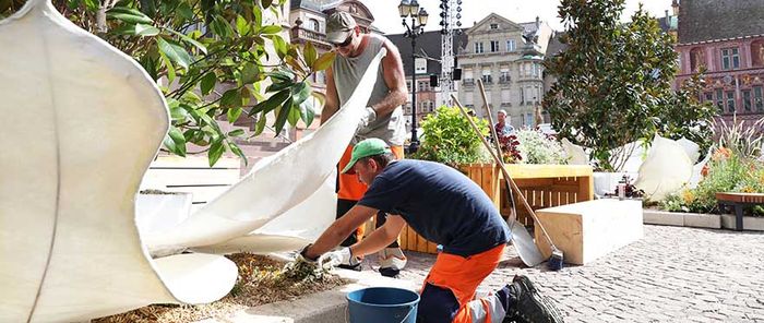 Le service Nature et espaces verts prépare le Jardin depuis le début de la semaine.