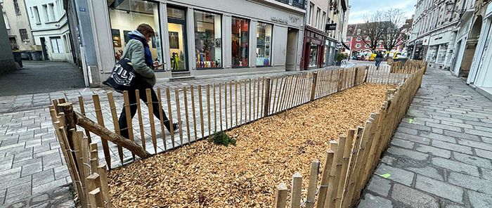 Les opérations porteront aussi sur la végétalisation des rues et les plantations d’arbres.