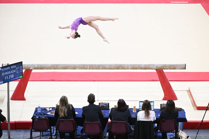 Championnats de France de gymnastique au Palais des sports