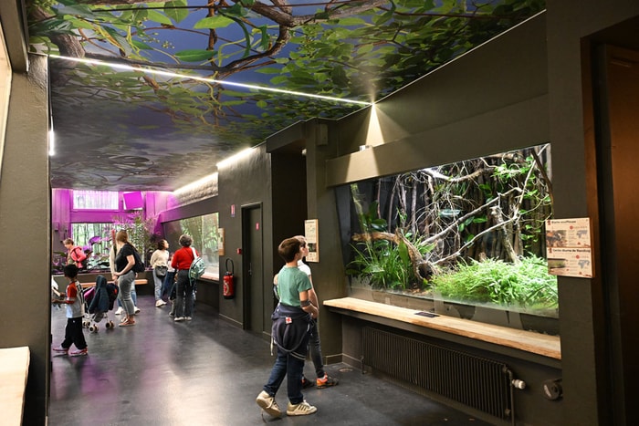 Les paresseux se sont installés dans l'ancienne "singerie" du Parc.