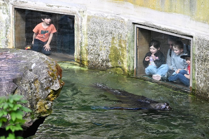 Le Zoo, un émerveillement pour les petits... comme pour les grands.