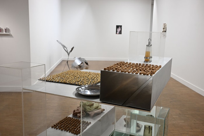 Certaines œuvres se dégustent comme celle présentée à La Filature de Sarai Rose Duke. L'artiste nous invite à y goûter !