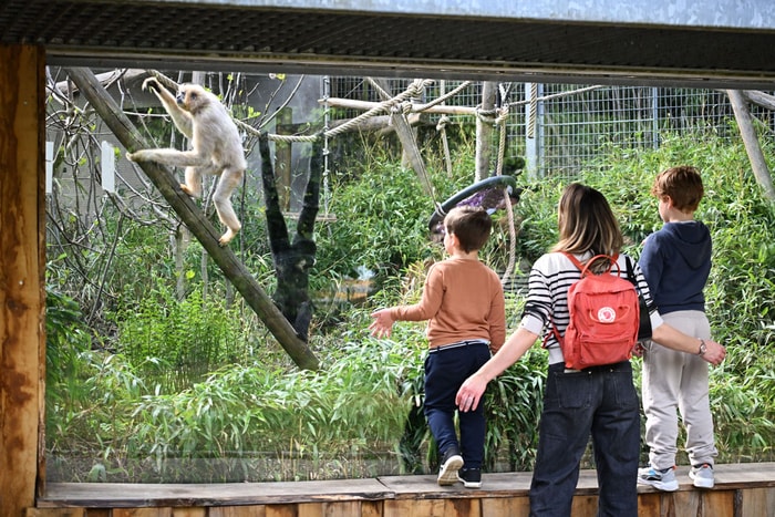 Une belle idée de sortie en famille.
