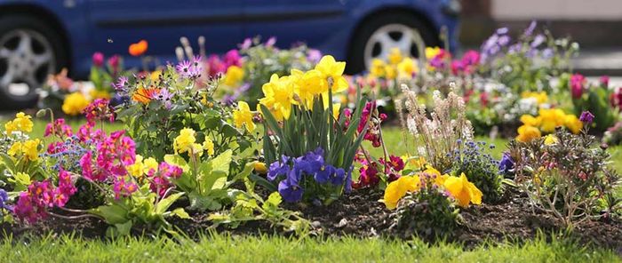 Mulhouse fait partie des 257 communes françaises labellisées "4 Fleurs".