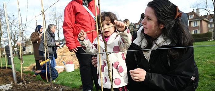 Pommiers, poiriers et vignes composent la haie fruitière.