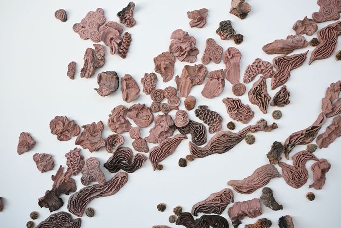 La céramiste Angéline Dubois a réalisé une cartographie de l'Ill.