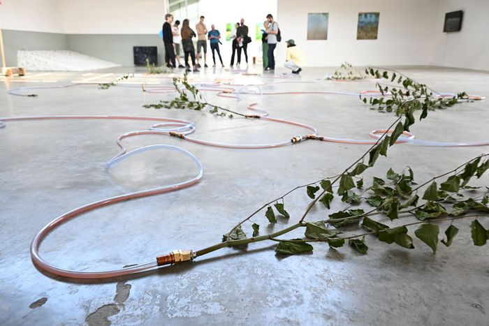 L'exposition présente des œuvres très diverses inspirées par l'Ill et les rivières.