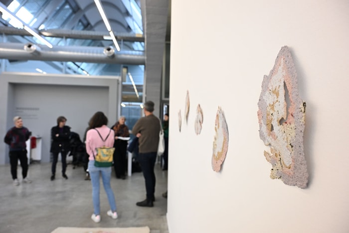 Boglárka Balassa présente "Emerging forms".