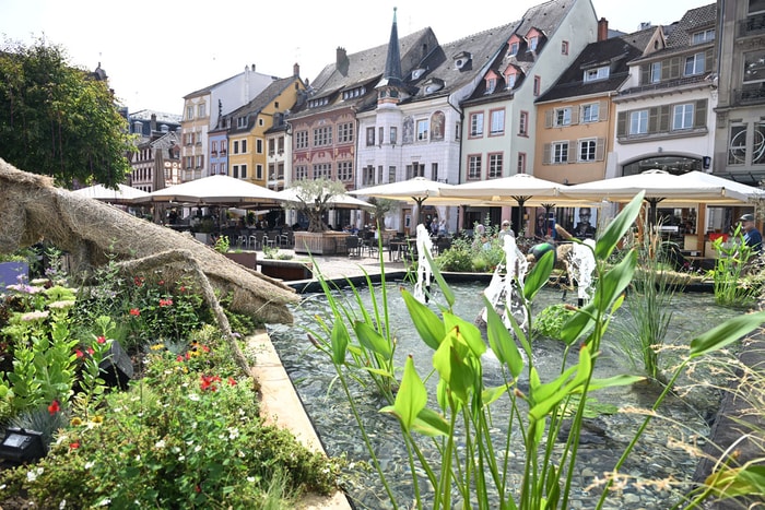 Cette nouvelle édition fait la part-belle à l'eau avec des plantes aquatiques.