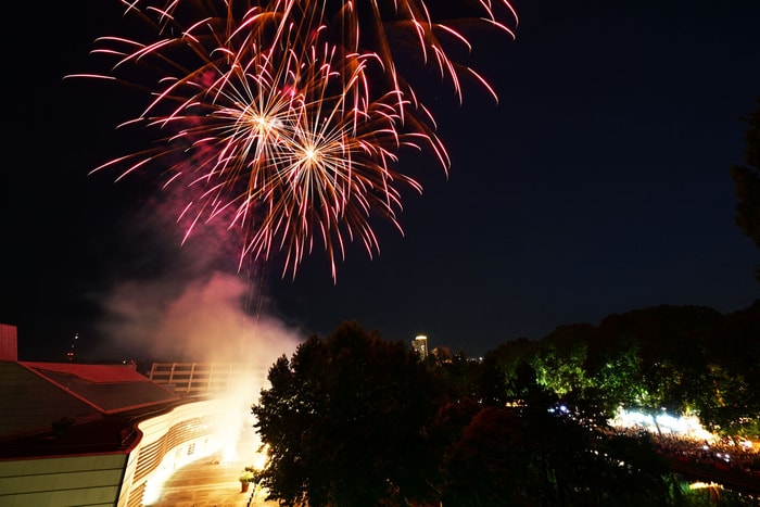 Le traditionnel feu d'artifice du 14 juillet