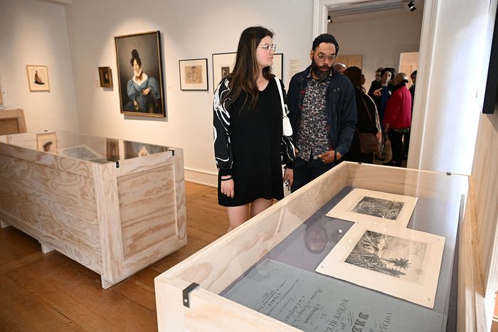 L'exposition « Pépites » au Musée des Beaux-arts. 