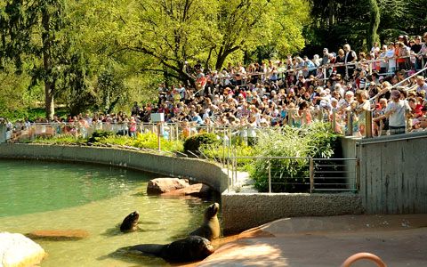Zoo, musées, Office de tourisme, restaurants... Les bons plans sont partout.