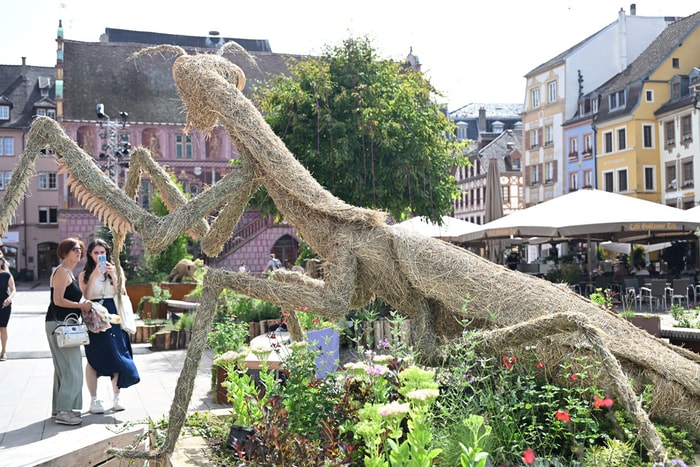 D'impressionnants insectes en paille ornent le jardin cette année.