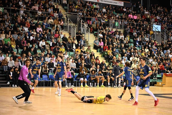 Les Loups évolueront à trois reprises au Palais des sports, cette saison. 