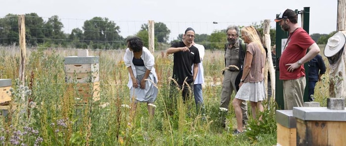 Séquence inaugurale du projet "Ruches, miel et pollen".
