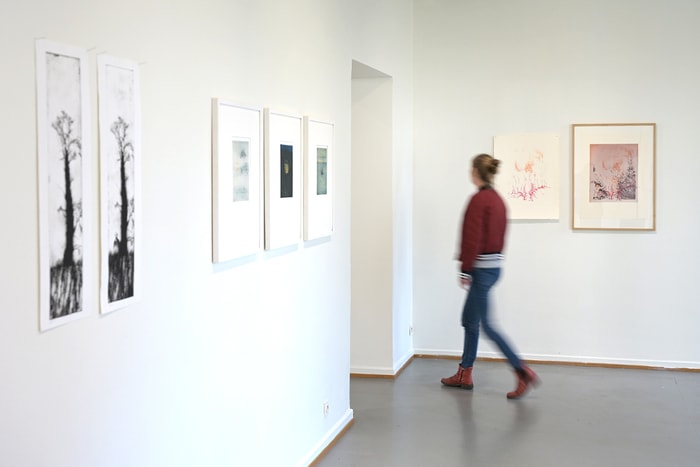 La bibliothèque Grand'rue met la gravure à l'honneur, du 21 novembre au 10 janvier 2026.