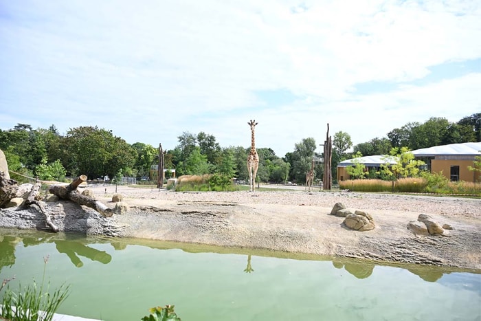 L'espace Horizons Afrique a ouvert ses portes en 2025. 