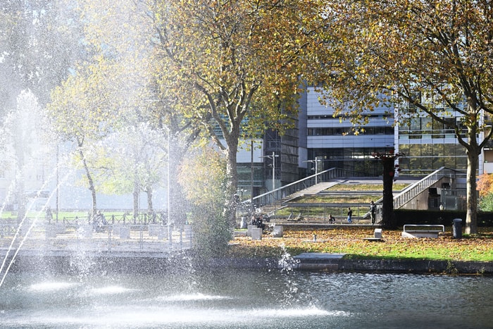 Le Nouveau Bassin est magique à l'automne.