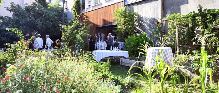 Le potager d'Épices Kennedy