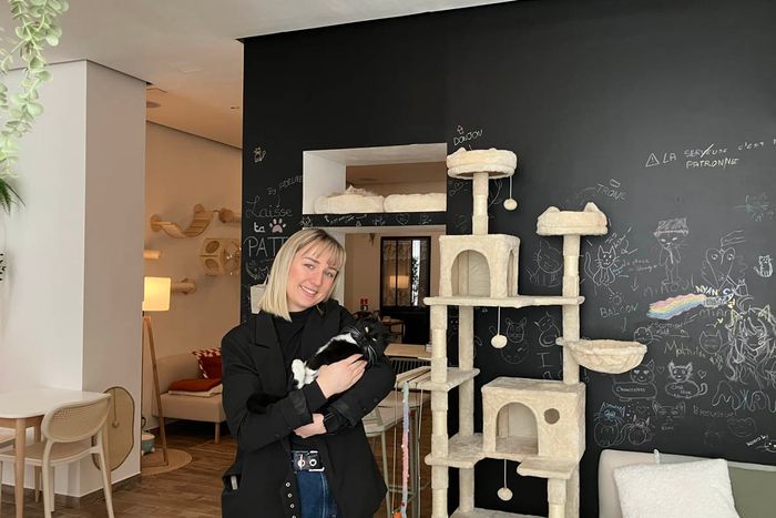 Lauraline Hotz a créé le premier bar à chats de Mulhouse, rue des Fleurs.