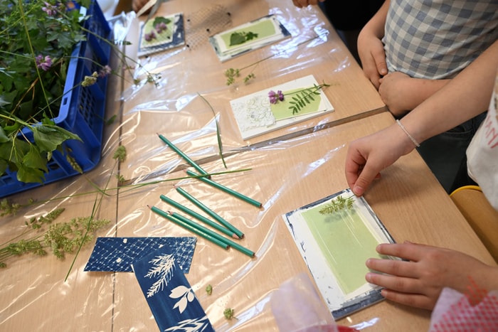 Une fois le papier enduit de la solution photosensible, les enfants s'attaquent à la composition.