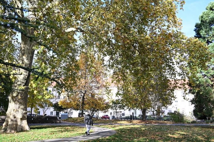 Le verdoyant square Steinbach.