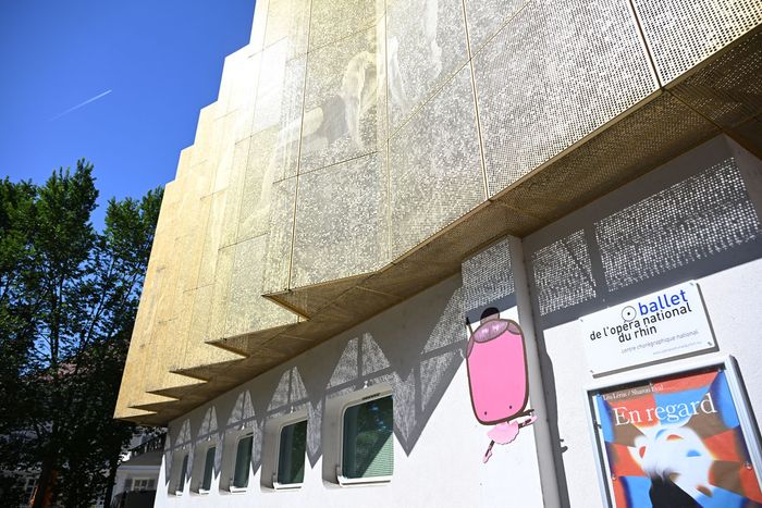 Un "poti" dansant au Ballet de l'Opéra national du Rhin. 