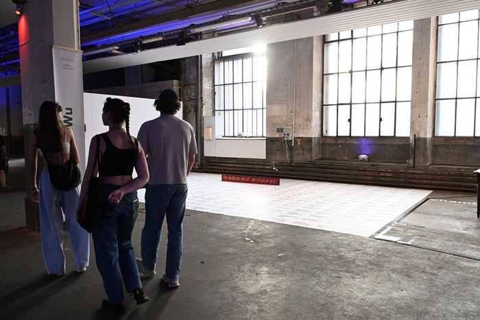 Biennale Mulhouse 025