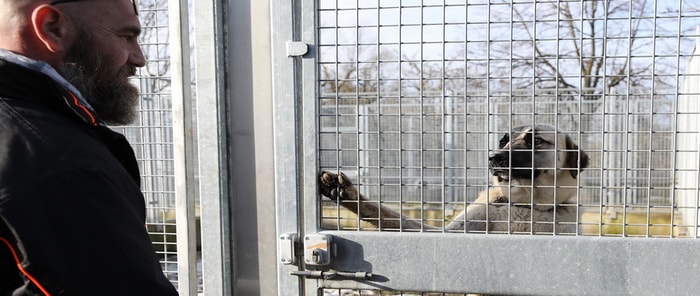 Les chenils sont en cours de rénovation.