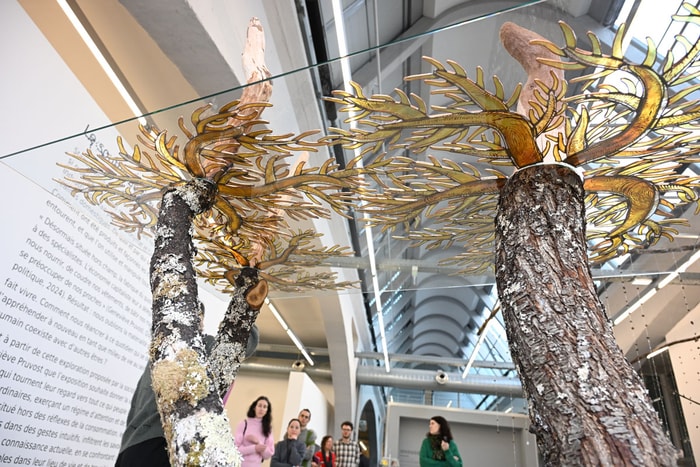 Des œuvres à contempler par en dessous de Claire Hannicq, qui a une maîtrise des techniques artisanales telles que le verre et la taille du bois.