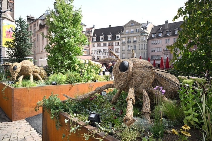 Des éléments de décorations seront réutilisés lors du show floral Folie'Flore, qui débutera le 1er octobre au Parc Expo.