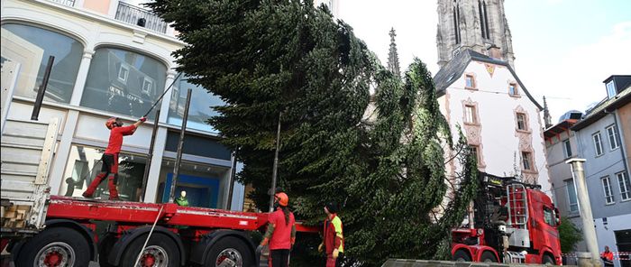 Lundi, c'était installation du sapin, place des Victoires.