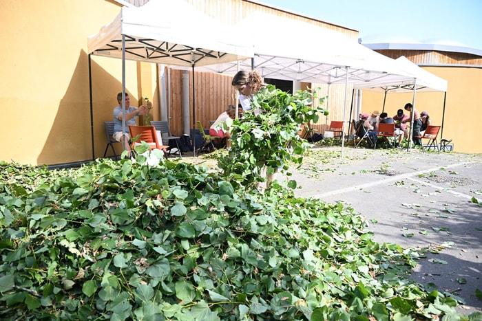 Plusieurs bennes de branches ont été livrée, puis effeuillées par des bénévoles.