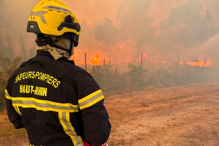 Plusieurs dizaines de sapeurs-pompiers du Haut-Rhin sont partis combattre les feux de forêt cet été. 