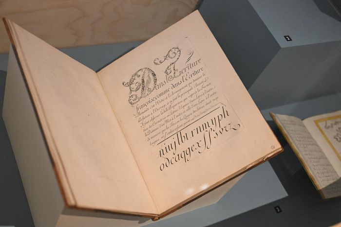 exposition Pépites - Musée des Beaux-Arts #800ans