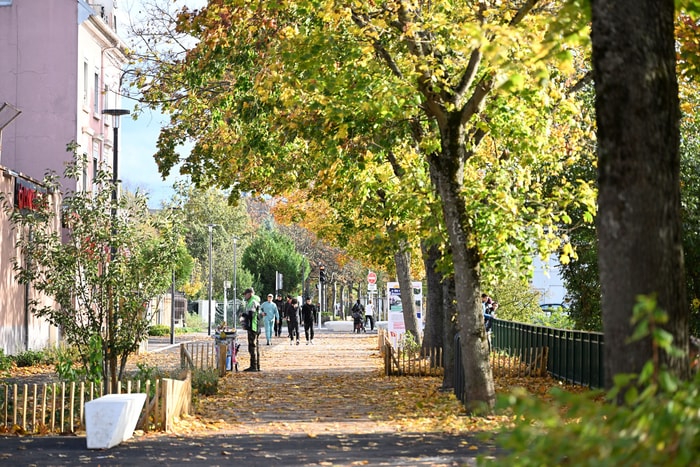 Le boulevard Roosevelt sous les couleurs de l'automne