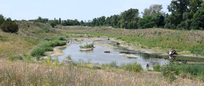 La Promenade de la Doller se caractérise par sa grande biodiversité.