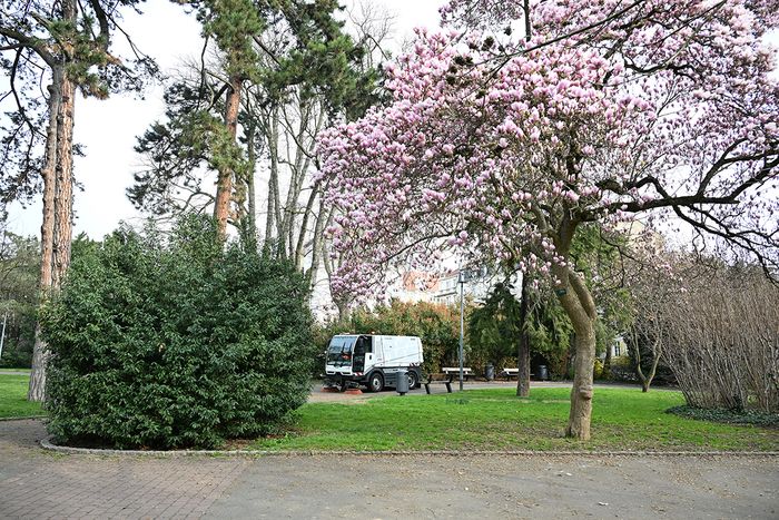 Soumis aux affres de l'hiver, les squares et parcs (ici le parc Salvator) ont également bénéficié d'un nettoyage.