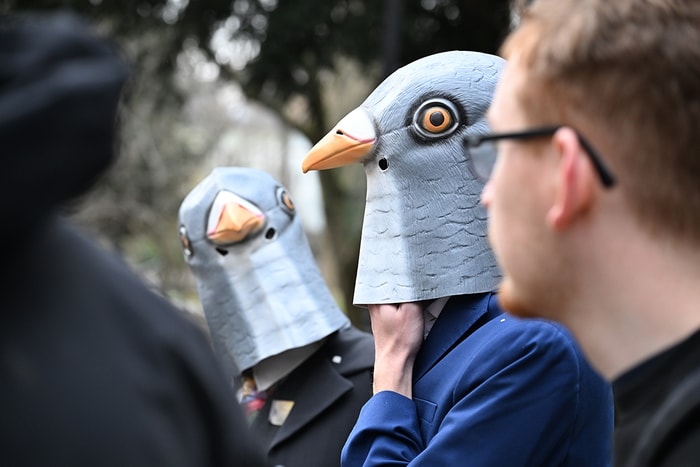 Au Carnaval de Mulhouse, on peut aussi croiser de drôles... d'oiseaux !