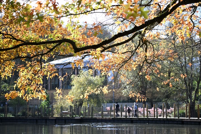 Le zoo de Mulhouse, lieu de balade.