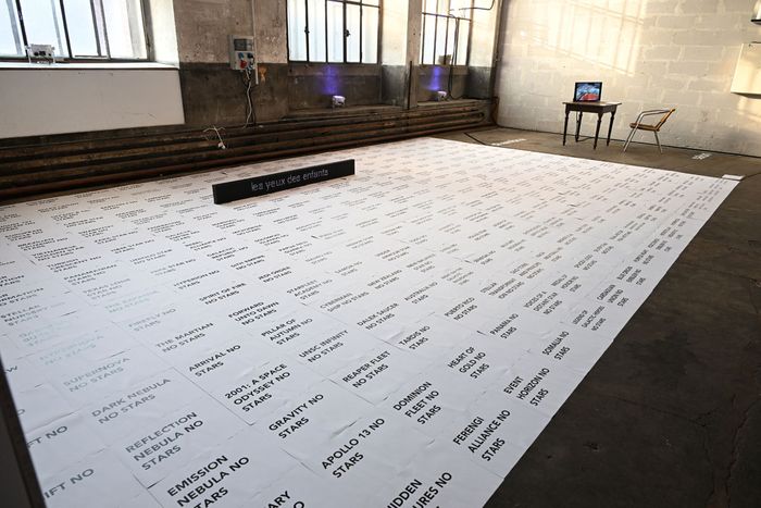 Biennale Mulhouse 025