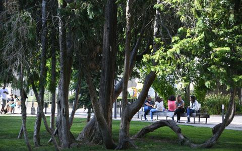 Les parcs et jardins publics ont rouvert, ce samedi 30 mai à Mulhouse.