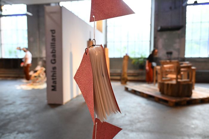 Biennale Mulhouse 025