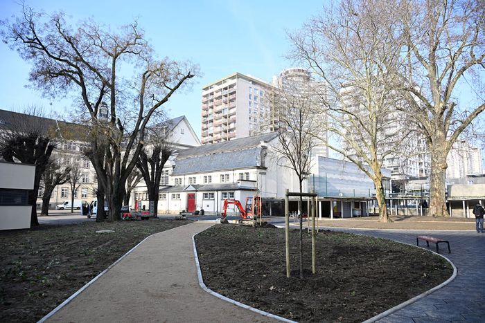 De nombreux arbres ont été conservés, notamment le platane remarquable de 38 mètres de haut, et 22 arbres ont été plantés au lycée Montaigne. 