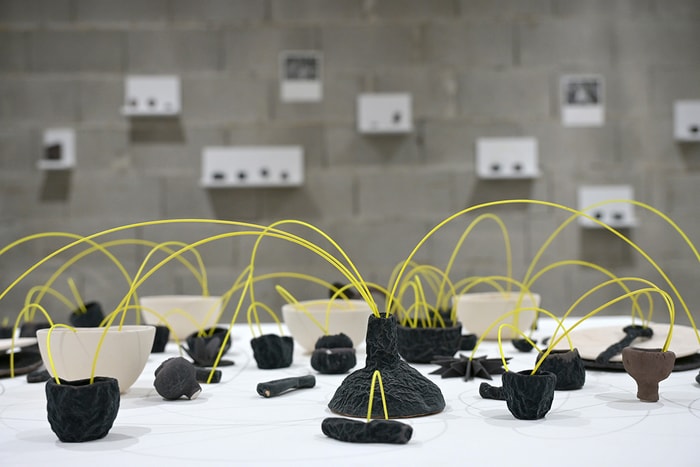Iva Šintić s'intéresse notamment aux interactions et aux espaces vides entre les objets, qu'elle rend visibles.