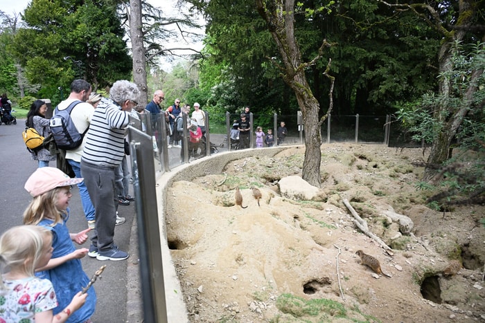 Ambiance de vacances, cette semaine, au Zoo de Mulhouse.