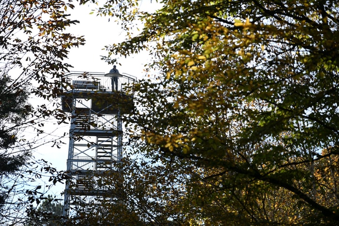 On contemple au sommet de la Tour du Belvédère au Rebberg.