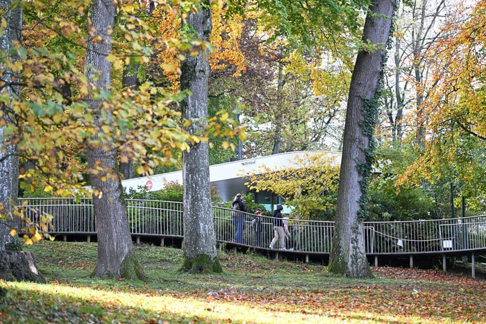 Les couleurs flamboient !