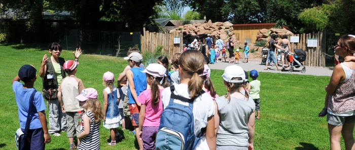 Ateliers d’été au Zoo