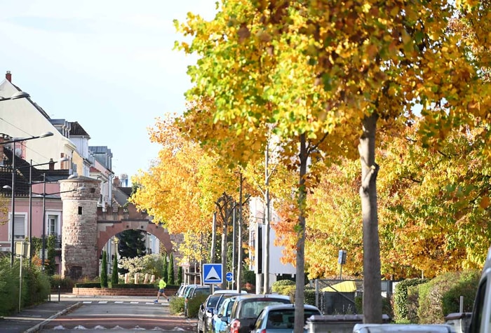 L’immobilier ancien, rénové ou non, reste à Mulhouse, en moyenne, moins cher qu’ailleurs. 